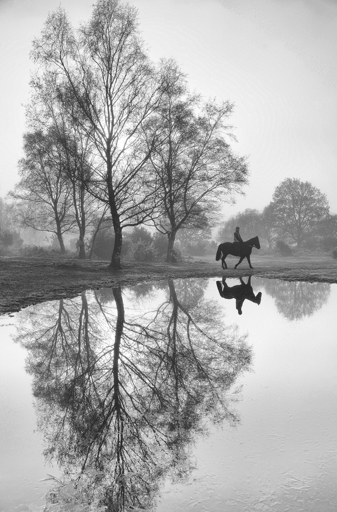 Horseman Riding By, Furzley Common,  New Forest 
